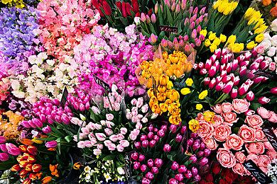 M站评出2023年年度最烂游戏：《魔戒：咕噜》