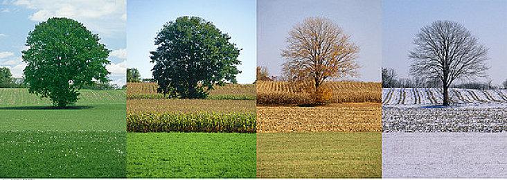 2024年国游销量榜发布 《黑神话：悟空》销量超2800万